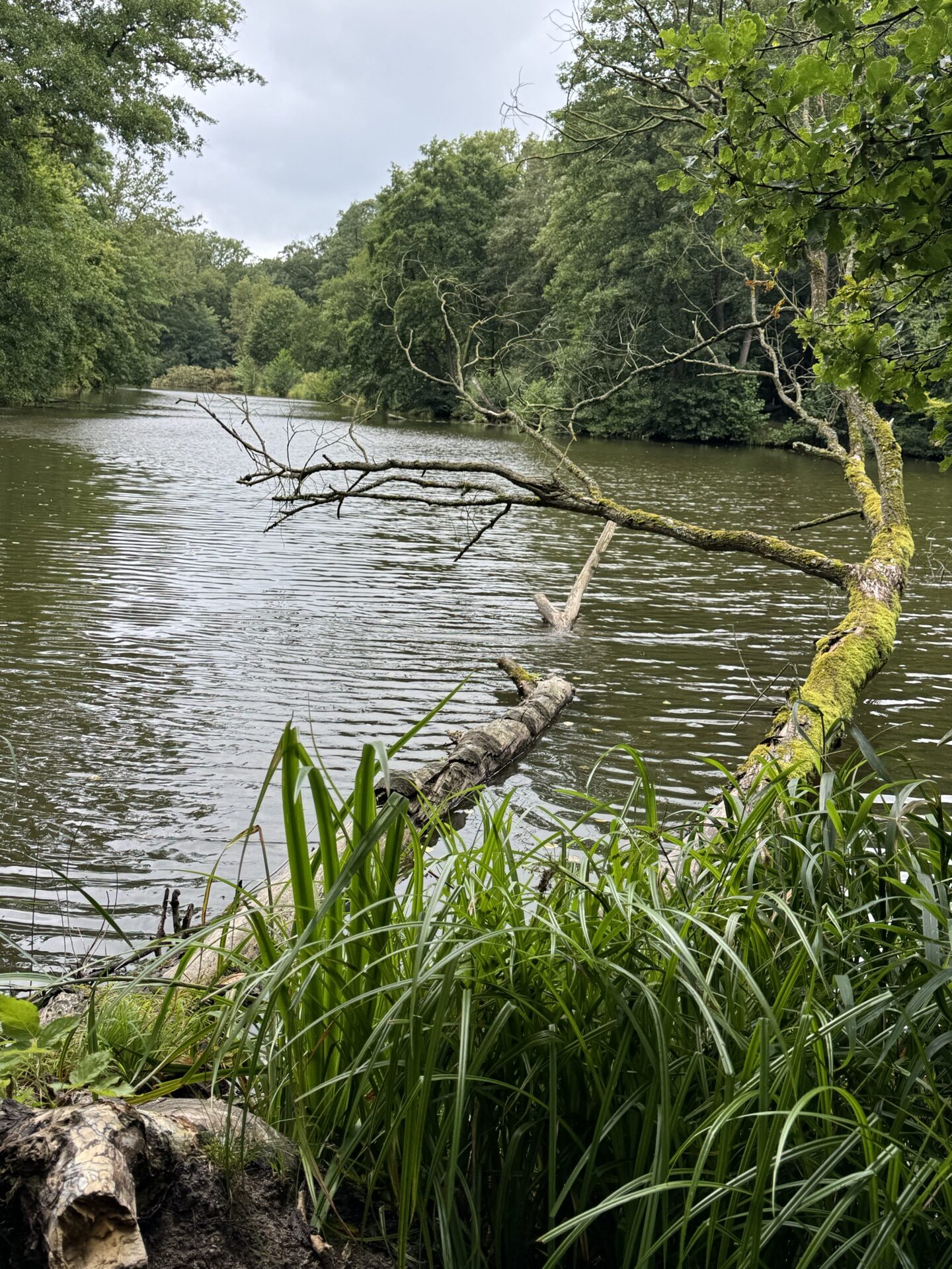 Otoczenie